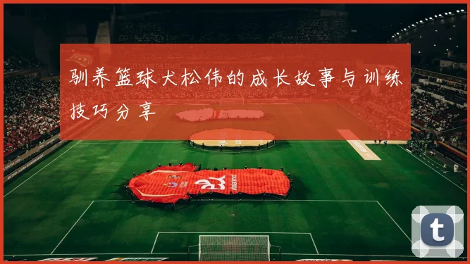驯养篮球犬松伟的成长故事与训练技巧分享