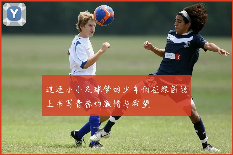 追逐小小足球梦的少年们在绿茵场上书写青春的激情与希望